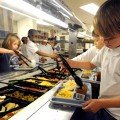 School Lunch Programs